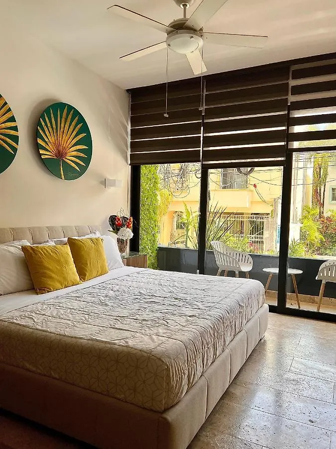 Beautiful Apartment 10 Meters From The Fifth Av Playa del Carmen 0*,  Mexico